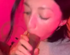 Xenadream bbc